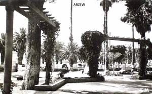 Arzew 321